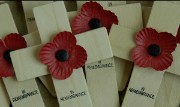 Photograph of remembrance crosses