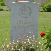 Photograph of Archibald Harley's gravestone