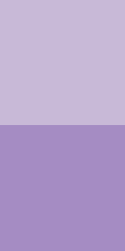 2 brand-coloured squares